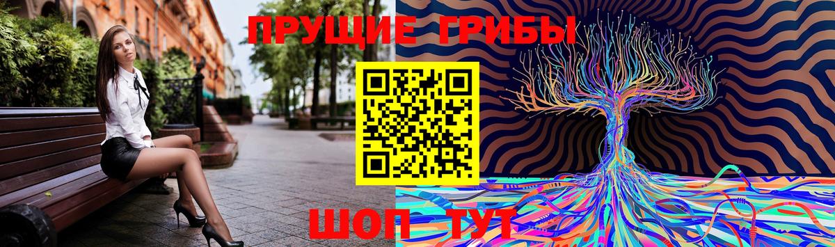 Фрязино  Псилоцибиновые грибы GOLDEN TEACHER  Вход с VPN 