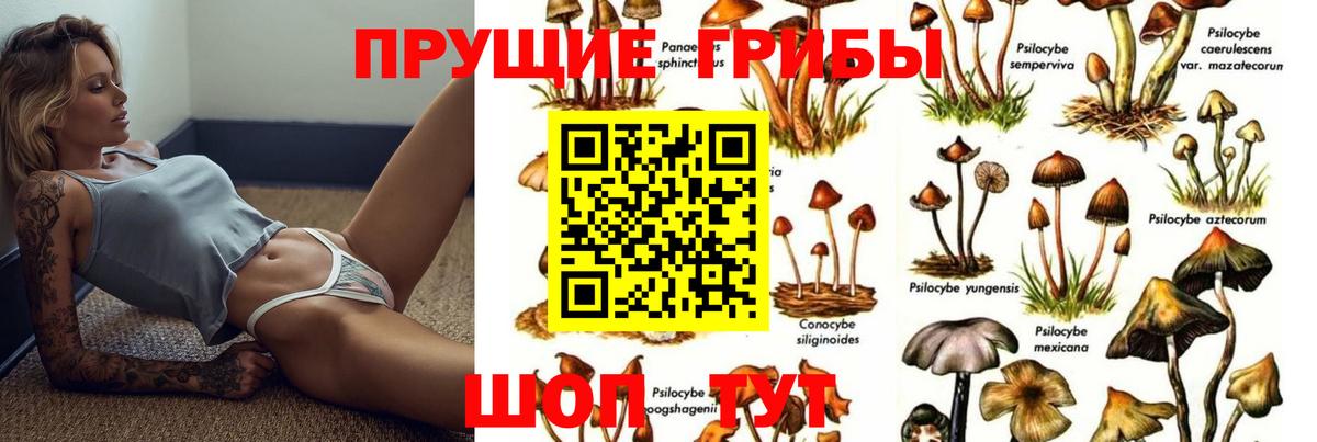 Псилоцибиновые грибы MAGIC MUSHROOMS Фрязино